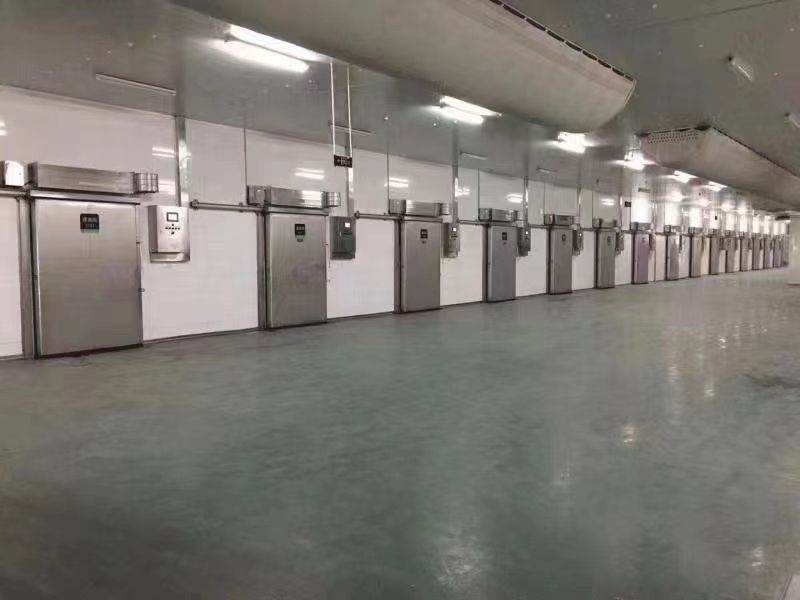 Cold room air curtain